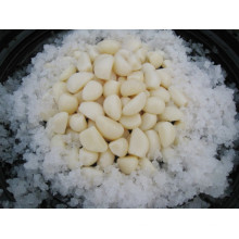 Pure White Garlic Cloves in Brine